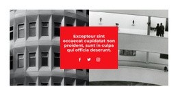 Plus Sur Les Réseaux Sociaux - Modèle HTML