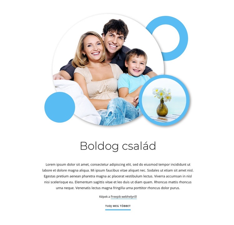 Boldog családi cikkek Weboldal tervezés