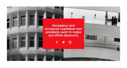 Mais Nas Redes Sociais - Melhor Design De Modelo De Site