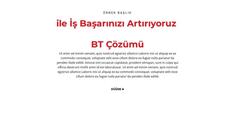 BT metni Html Web Sitesi Oluşturucu