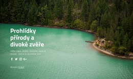 Prohlídky Přírody A Širokého Života