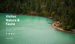 Visites Nature Et Vie Large - Inspiration Pour Une Maquette De Site Web