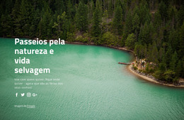 Passeios Pela Natureza E Pela Vida Selvagem - Download De Modelo HTML