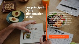 Principes D'Une Alimentation Propre - Modèle De Site Web Professionnel Premium