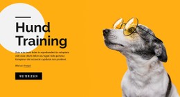 HTML-Seite Für Schulungskurse Für Haustiere Jeden Alters