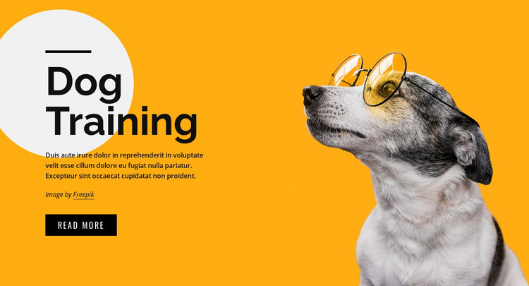 Training classes for pets of all ages HTML Template