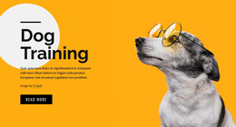 Training Classes For Pets Of All Ages Templates Html5 Responsive Free