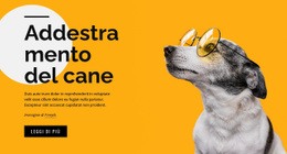 Corsi Di Formazione Per Animali Domestici Di Tutte Le Età