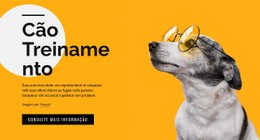 HTML Da Página Para Aulas De Treinamento Para Animais De Estimação De Todas As Idades