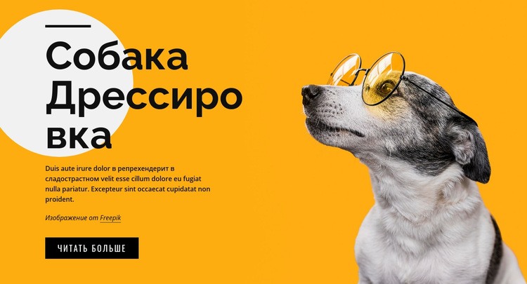 Уроки обучения для домашних животных любого возраста Мокап веб-сайта