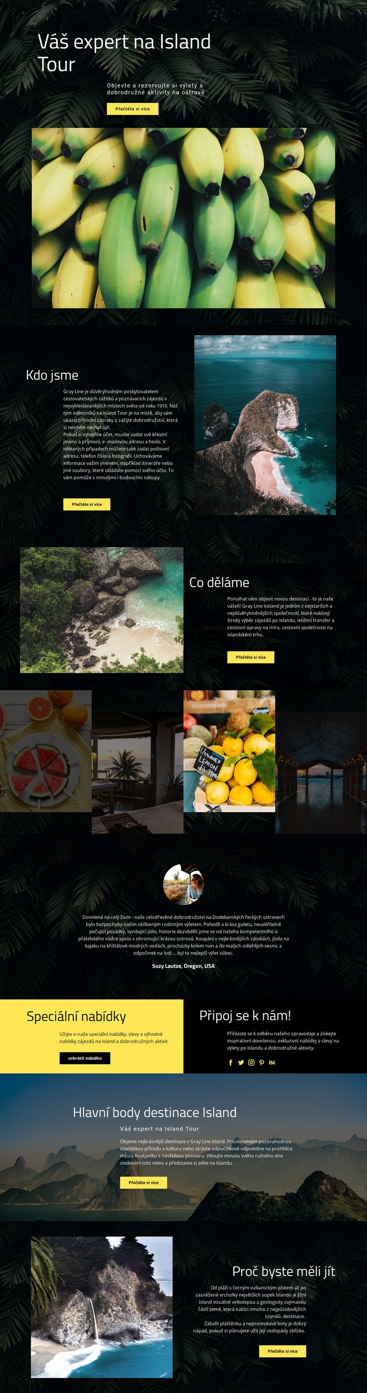 Cestování po ostrově Šablona HTML