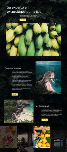 Viaje A La Isla: Plantilla De Sitio Web Sencilla
