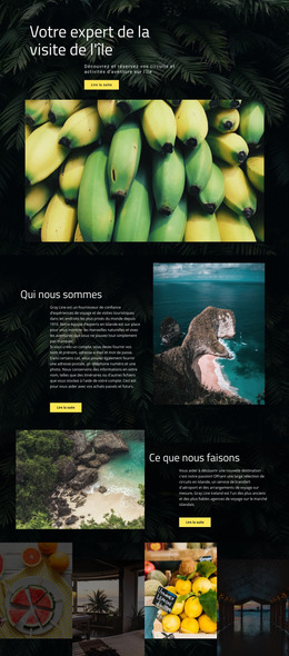 Voyage Sur L'Île – Page De Destination HTML