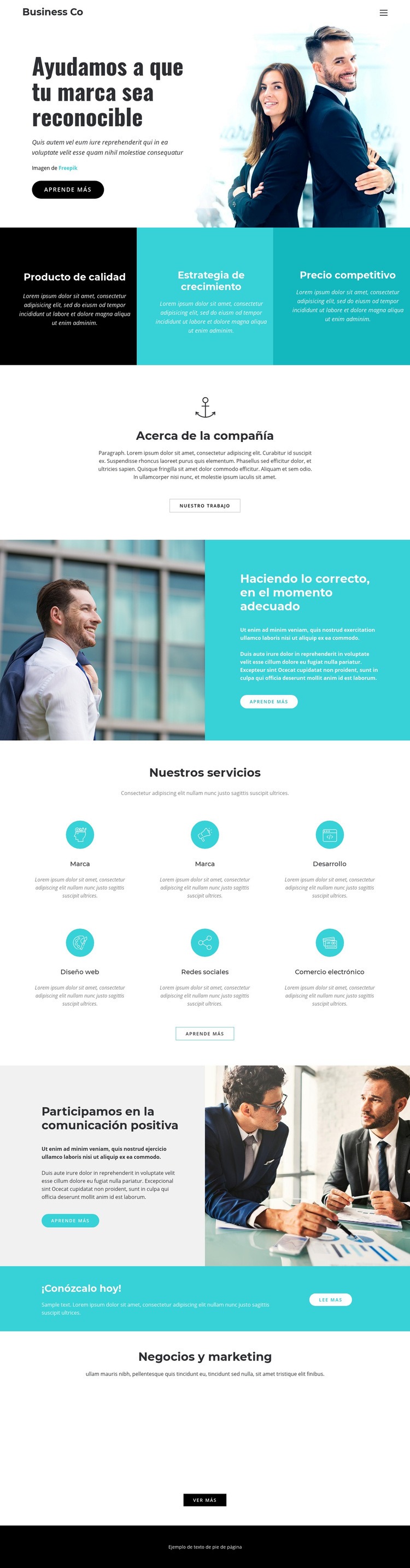 Compañía de negocios Diseño de páginas web