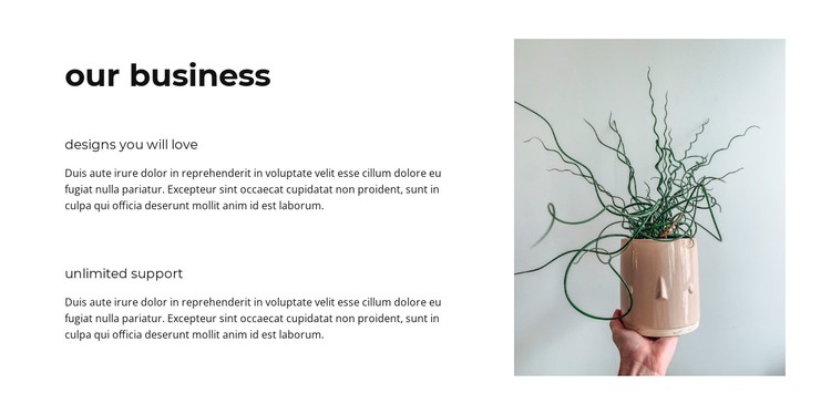 Our successful business CSS Template