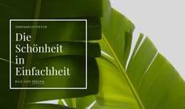 Die Schönheit In Einfachheit CSS-Vorlage