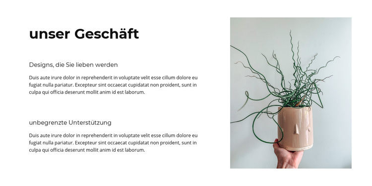 Unser erfolgreiches Geschäft WordPress-Theme