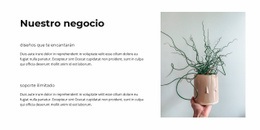 Nuestro Negocio Exitoso - Plantilla HTML