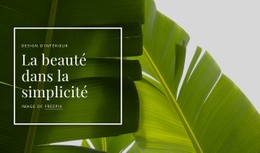 La Beauté En Toute Simplicité