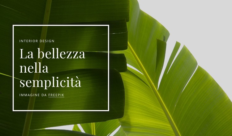 La bellezza in semplicità Modello CSS