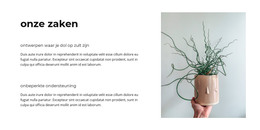 CSS-Indeling Voor Ons Succesvolle Bedrijf