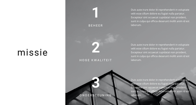 We stellen doelen en winnen Website ontwerp