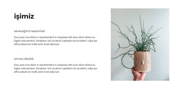 Başarılı Işimiz Için CSS Düzeni