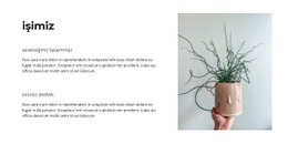 Başarılı Işimiz - Kişisel Şablon