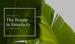 The Beauty In Simpliciy