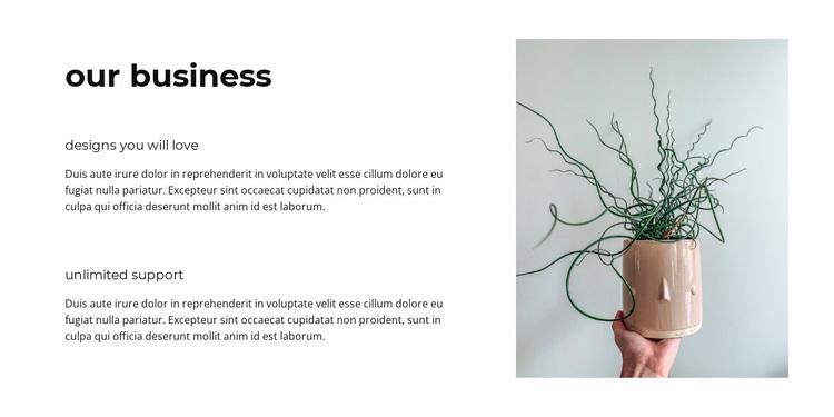 Our successful business Website Design