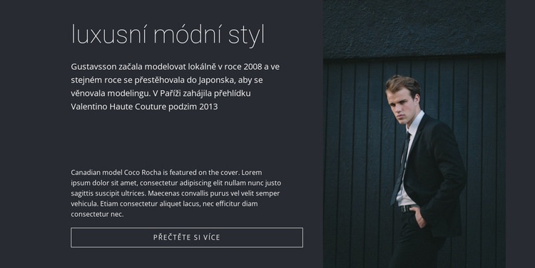 Pánský módní styl Šablona CSS