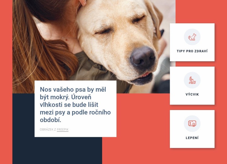 Tipy na péči o psa Šablona HTML