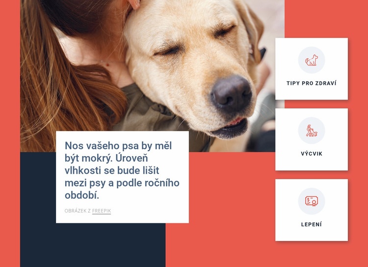 Tipy na péči o psa Téma WordPress