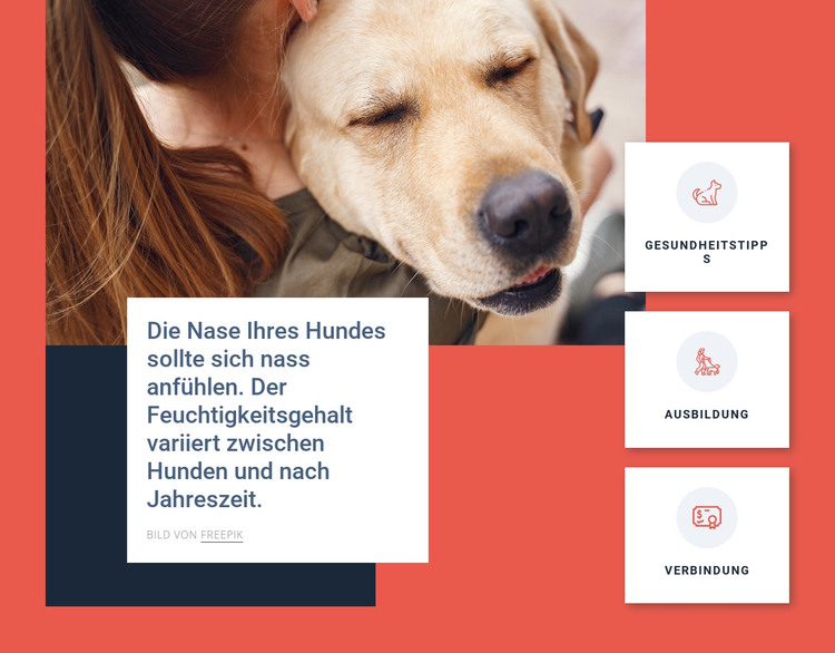Tipps zur Hundepflege HTML-Vorlage
