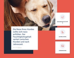 Tipps Zur Hundepflege - Vorlagen Website-Design