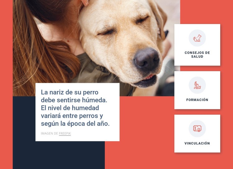 Consejos para el cuidado del perro Maqueta de sitio web
