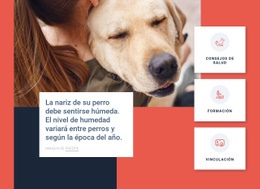 Consejos Para El Cuidado Del Perro - Diseño De Una Página