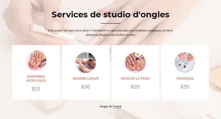 Services de studio de clous Maquette de site Web