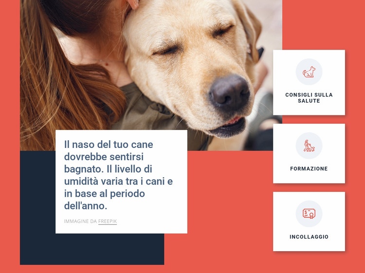 Suggerimenti per la cura del cane Costruttore di siti web HTML