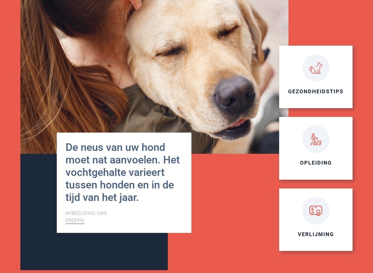 Tips voor hondenverzorging CSS-sjabloon