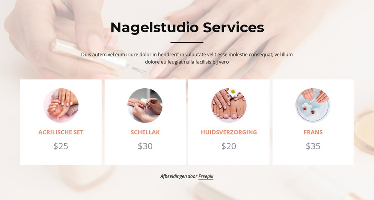 Nagels studio diensten HTML-sjabloon