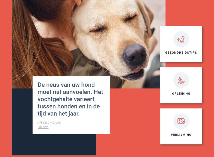 Tips voor hondenverzorging Website mockup