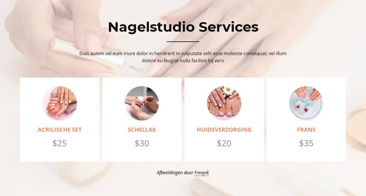 Nagels studio diensten Website ontwerp