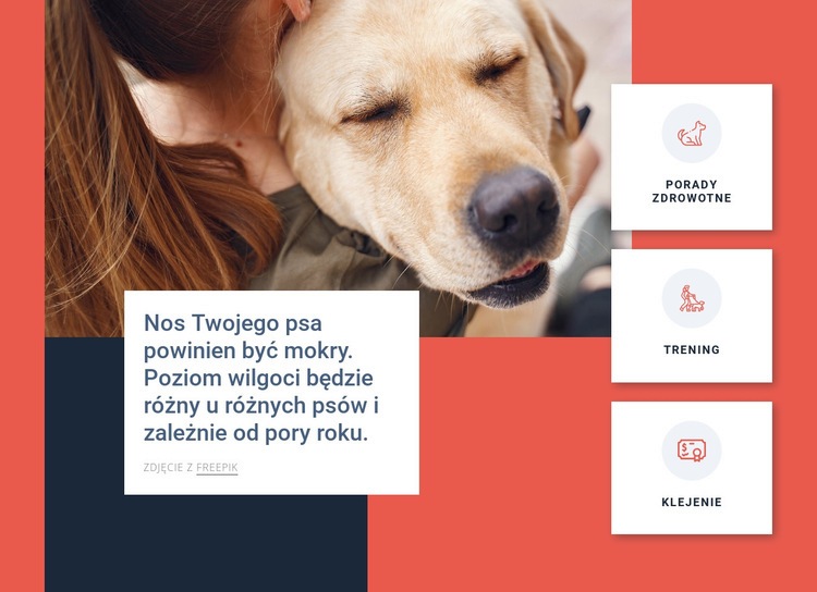 Wskazówki dotyczące pielęgnacji psów Kreator witryn internetowych HTML