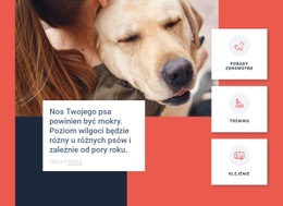Wskazówki Dotyczące Pielęgnacji Psów - Najlepszy Projekt Strony Internetowej