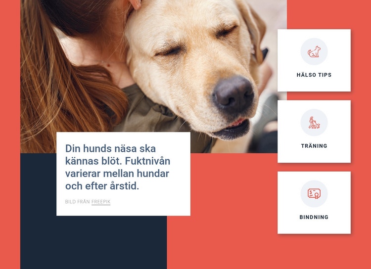 Hundvårdstips HTML-mall