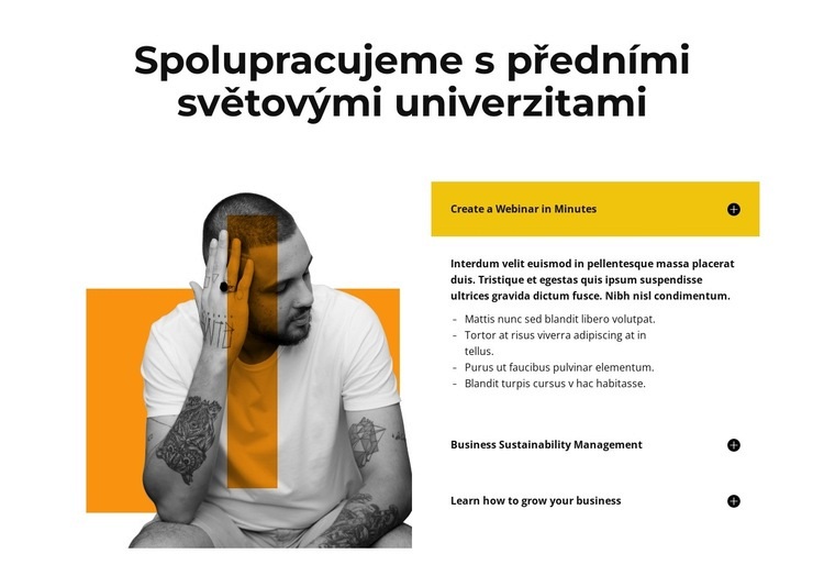 Expert člen naší společnosti Šablona CSS