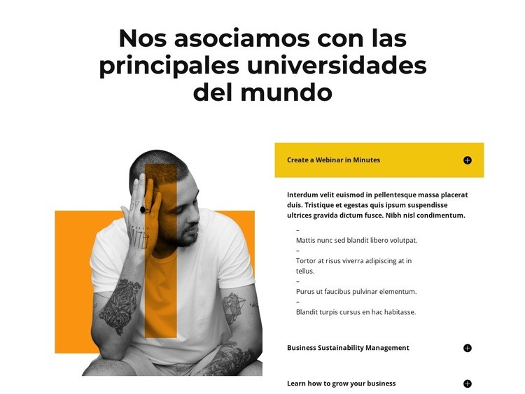 Experto miembro de nuestra empresa Diseño de páginas web