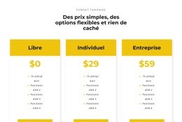 Choisissez Votre Meilleur Forfait - Mise En Page Multiple