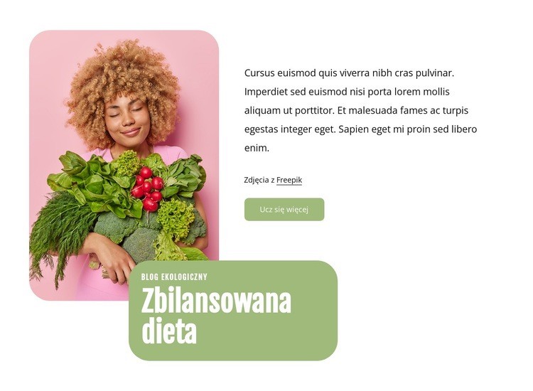 Zbilansowana dieta Projekt strony internetowej